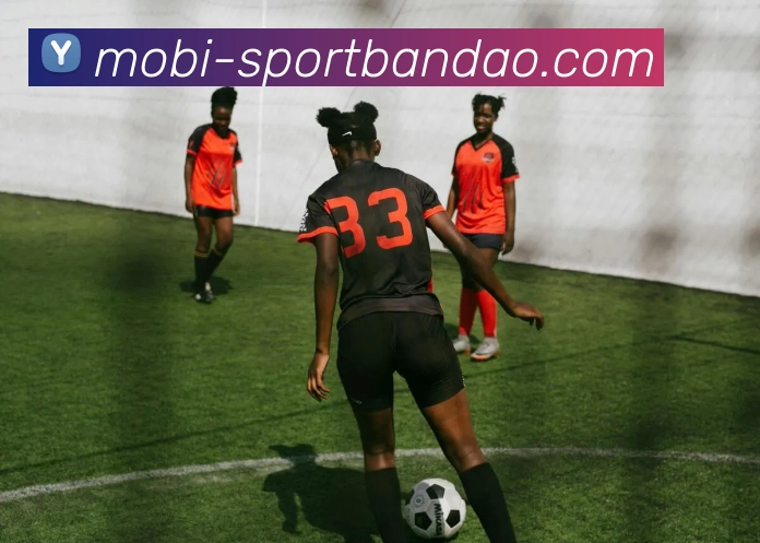 多媒体互动体验