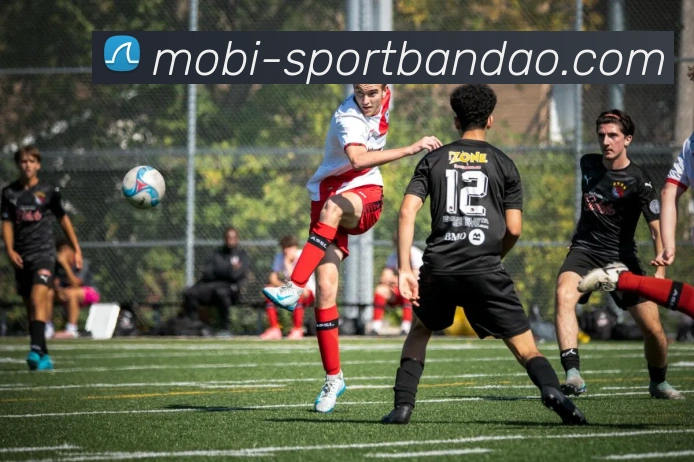 半岛体育APP 体育赛事宣传图